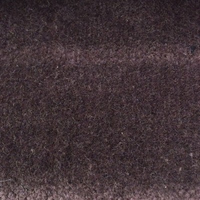 Wimpfheimer Velvet Boulevard Graphite