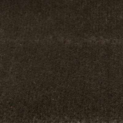 Wimpfheimer Velvet Boulevard Moss