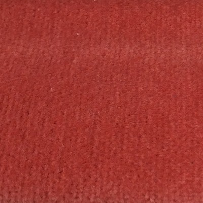 Wimpfheimer Velvet Boulevard Papaya