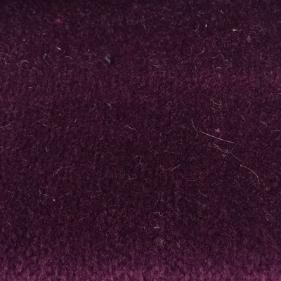 Wimpfheimer Velvet Boulevard Plum