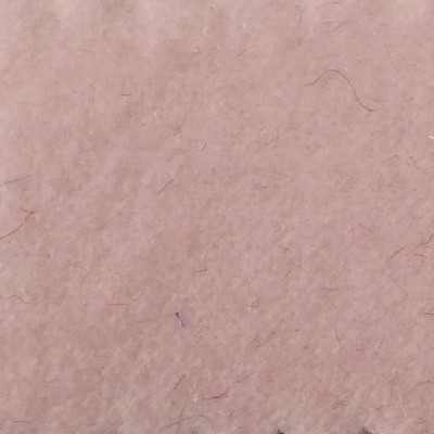 Wimpfheimer Velvet CW Velveteen Dawn Pink