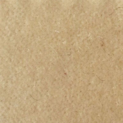 Wimpfheimer Velvet CW Velveteen Eggshell