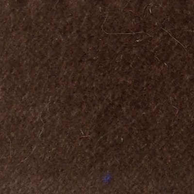 Wimpfheimer Velvet CW Velveteen Italian Brown