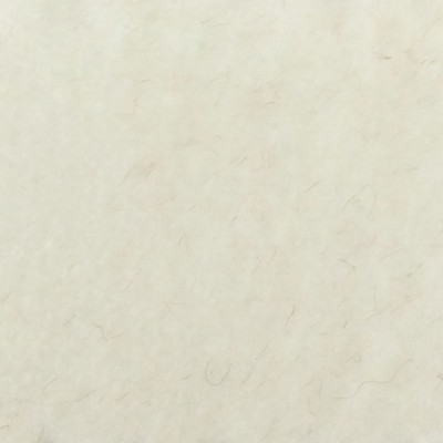 Wimpfheimer Velvet CW Velveteen Winter White