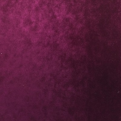 Wimpfheimer Velvet Rhapsody Velvet Magenta