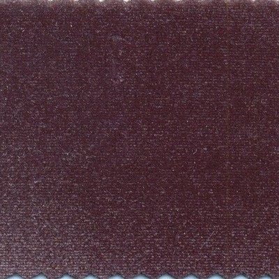 Wimpfheimer Velvet Stretch Knit Velvet Charcoal
