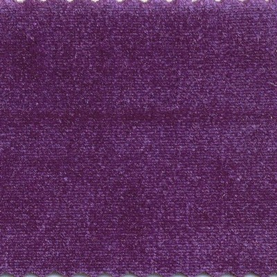 Wimpfheimer Velvet Stretch Knit Velvet Purple