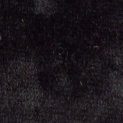 Wimpfheimer Velvet Twinkle Shimmer Velvet Black