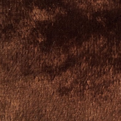 Wimpfheimer Velvet Twinkle Shimmer Velvet Chocolate