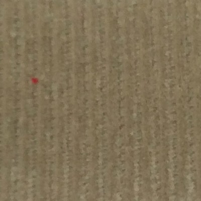 Wimpfheimer Velvet 11 Wale Corduroy Velvet Stripe Stone