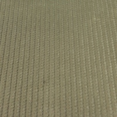 Wimpfheimer Velvet 8 Wale Corduroy Velvet Stripe Stone