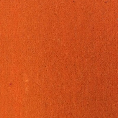 Wimpfheimer Velvet Venus Orange