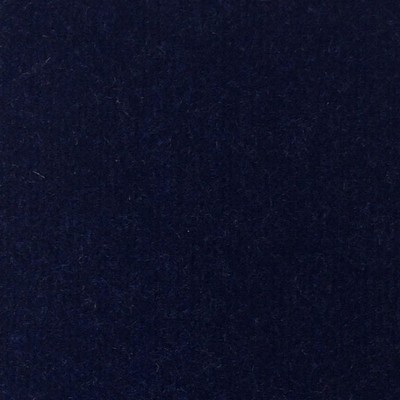 Wimpfheimer Velvet Venus Royal Blue