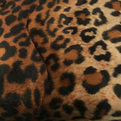 Wimpfheimer Velvet Wild Kingdom Leopard