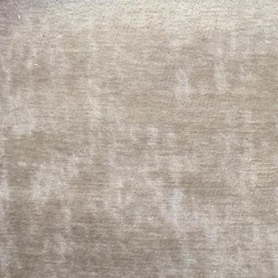 World Wide Fabric  Inc Brody Beige