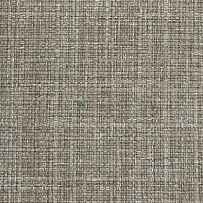 World Wide Fabric  Inc Carmel Beige