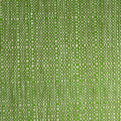 World Wide Fabric  Inc Carmel Celadon