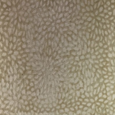 World Wide Fabric  Inc Codes 01 Ivory