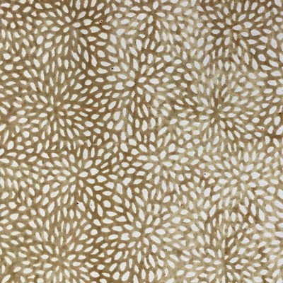 World Wide Fabric  Inc Codes 02 Beige