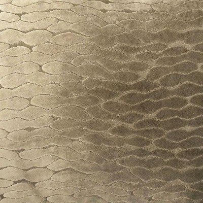 World Wide Fabric  Inc Costella Mocha 02