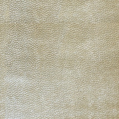 World Wide Fabric  Inc Felix 02 Ivory