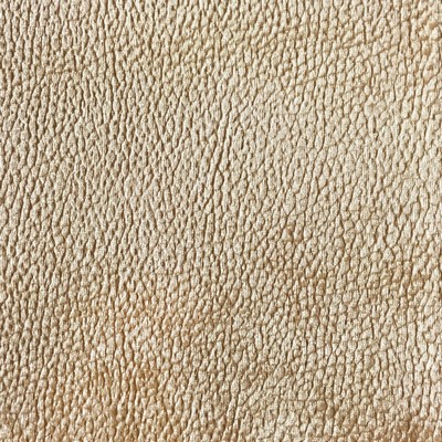 World Wide Fabric  Inc Felix 03 Champagne