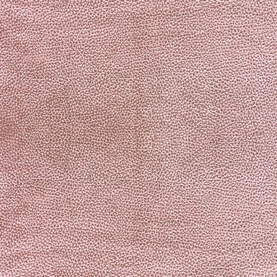World Wide Fabric  Inc Felix 05 Blush