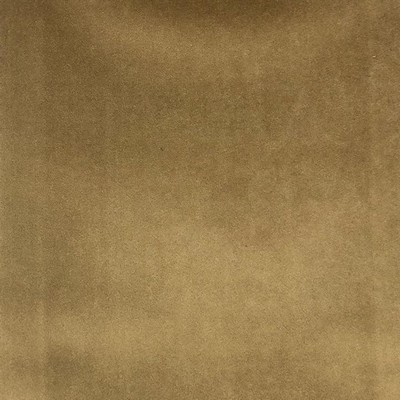 World Wide Fabric  Inc Tuscan Mocha