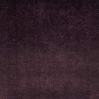 World Wide Fabric  Inc Tuscan Plum