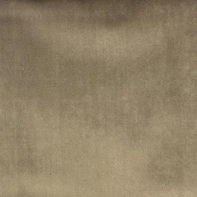 World Wide Fabric  Inc Tuscan Taupe