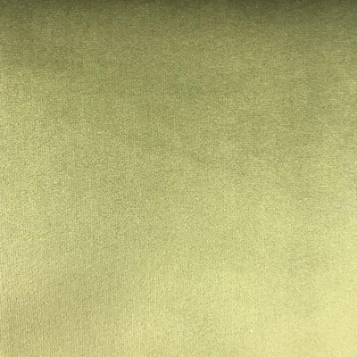 World Wide Fabric  Inc VELLUTO Basil