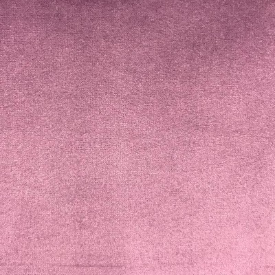 World Wide Fabric  Inc VELLUTO Lavender