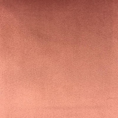 World Wide Fabric  Inc VELLUTO Rose