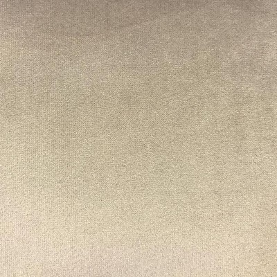 World Wide Fabric  Inc VELLUTO Taupe