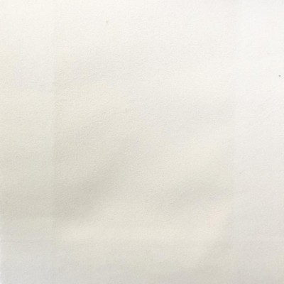 World Wide Fabric  Inc VELLUTO White