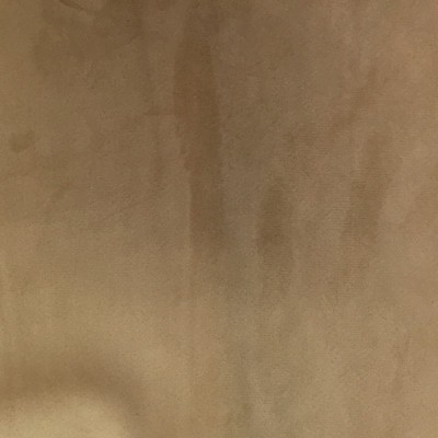 World Wide Fabric  Inc Velluto Beige