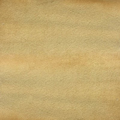 World Wide Fabric  Inc Velluto Gold