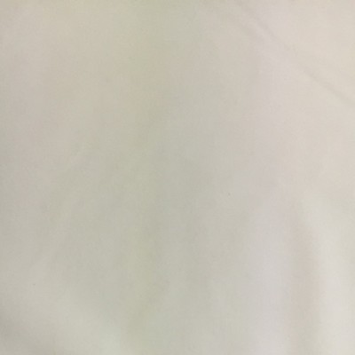 World Wide Fabric  Inc Velluto Ivory