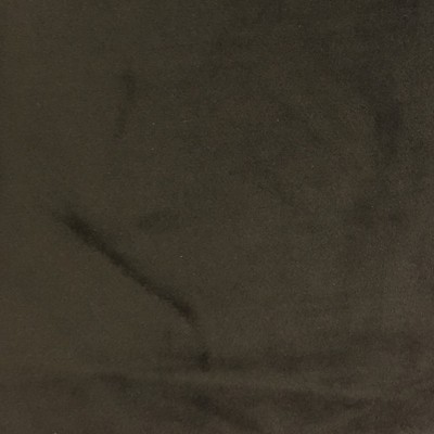 World Wide Fabric  Inc Velluto Pewter