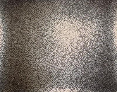 Zimmer and Rohde Ray 10196 887