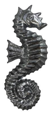 Ona Drapery Hardware Sea Horse Rosette Pewter