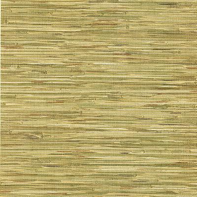 Brewster Wallcovering Lepeka Green Grasscloth Green