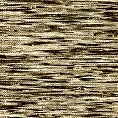 Brewster Wallcovering Lepeka Dark Green Grasscloth Dark Green