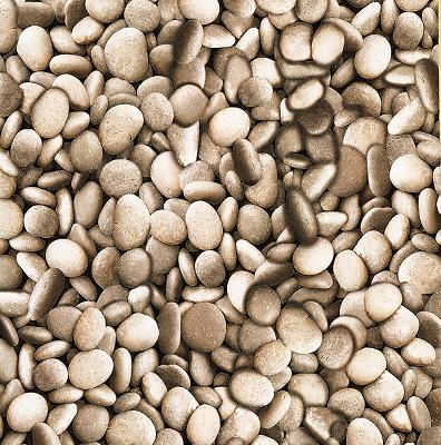 Brewster Wallcovering Sante Taupe Pebbles Taupe