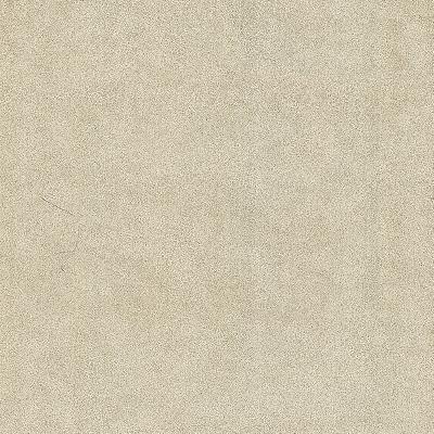 Brewster Wallcovering Jaipur Taupe Elephant Skin Texture Taupe
