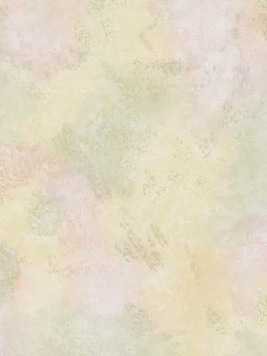 Brewster Wallcovering Ruffle Pastel Sponge Paint Texture 
