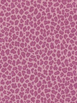 Brewster Wallcovering Sassy Pink Cheetah Wallpaper 