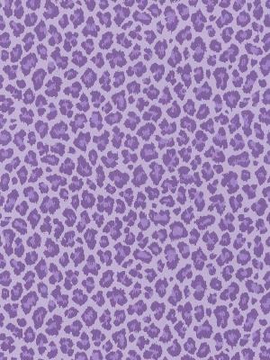 Brewster Wallcovering Sassy Purple Cheetah Wallpaper 