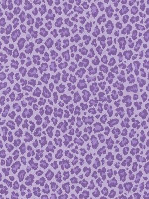 Brewster Wallcovering Sassy Purple Cheetah Wallpaper 
