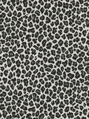 Brewster Wallcovering Sassy Black Cheetah 